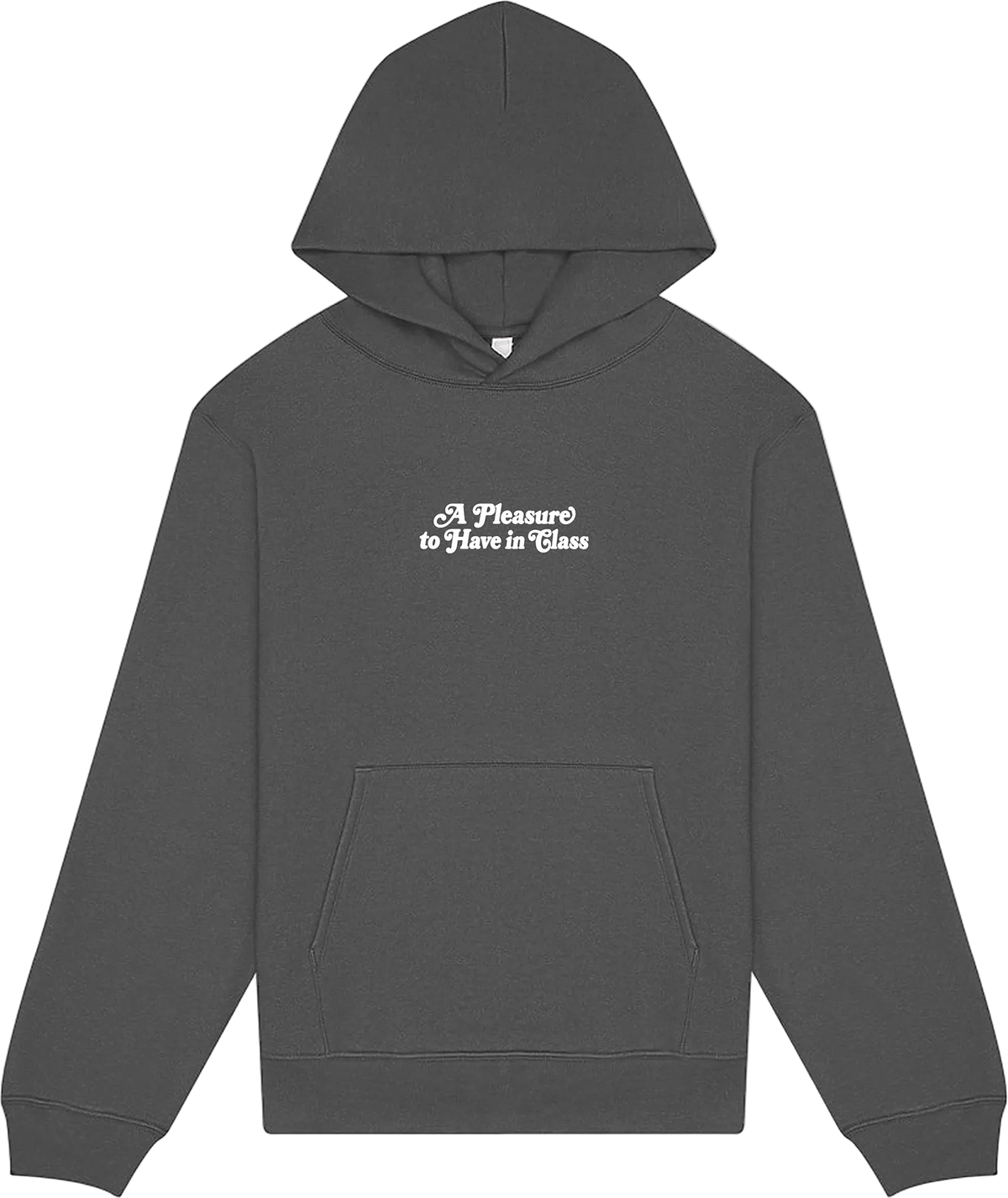 A Pleasure to Have in Class Hoodie