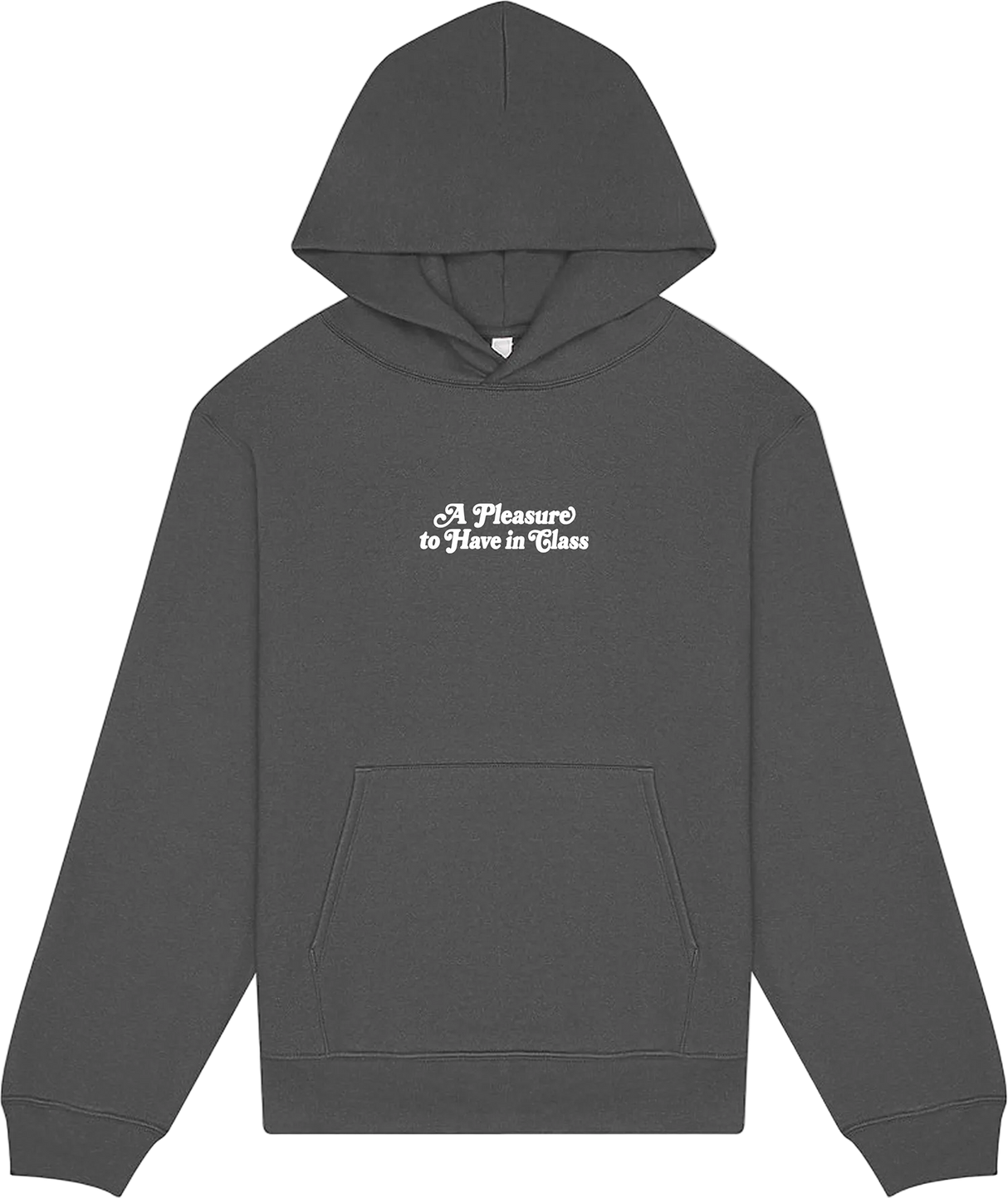 A Pleasure to Have in Class Hoodie