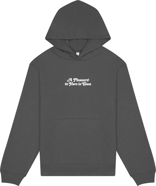 A Pleasure to Have in Class Hoodie