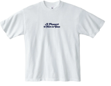 A Pleasure to Have in Class Tee